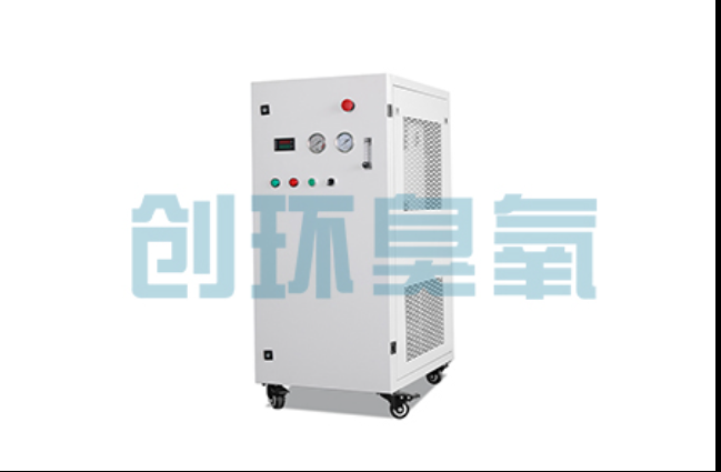 毕节工厂化养鲈必看：2026年臭氧发生器替代传统消毒的最新方案