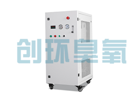 毕节石斑鱼养殖水质调控完整指南：臭氧发生器配置与操作步骤