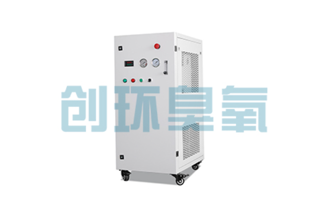 毕节比传统换水更高效？臭氧发生器在石斑鱼养殖中的水质净化原理解析